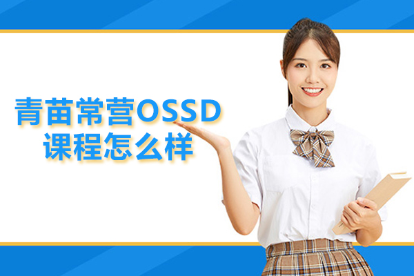 北京青苗常营OSSD课程怎么样