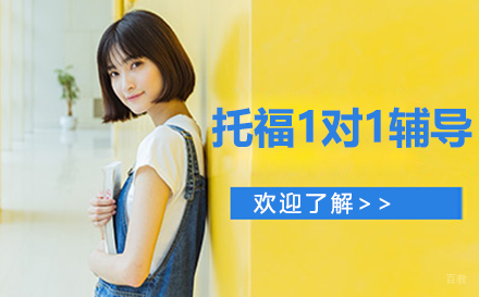 长春托福1对1辅导班