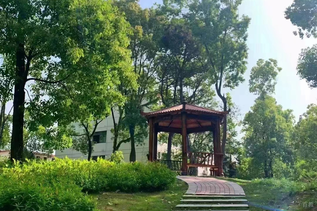 校园环境