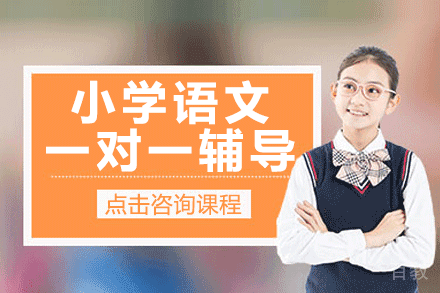 上海小学语文一对一辅导课程
