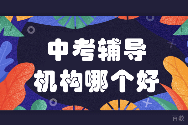 上海中考辅导机构哪个好 