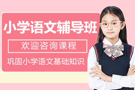 上海小学语文辅导班