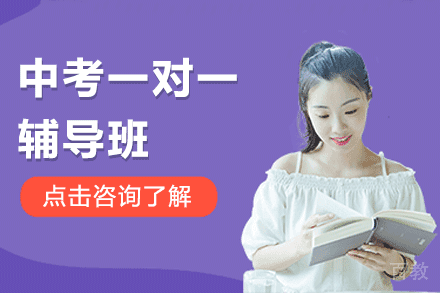上海中考一对一辅导班