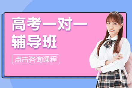 上海高考一对一辅导班
