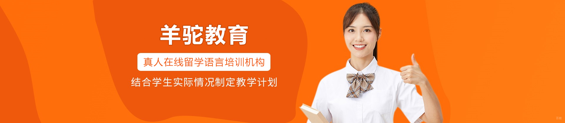 沈阳羊驼教育