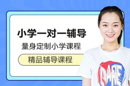 小学全科一对一辅导