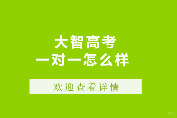 济南大智高考一对一怎么样 