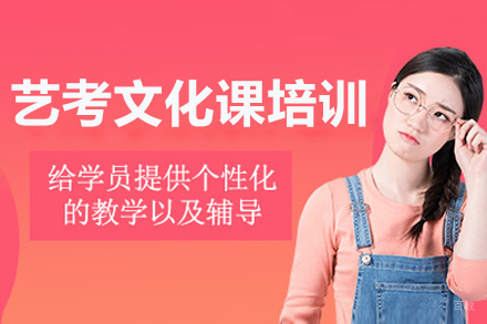 沈阳艺考文化课培训课程