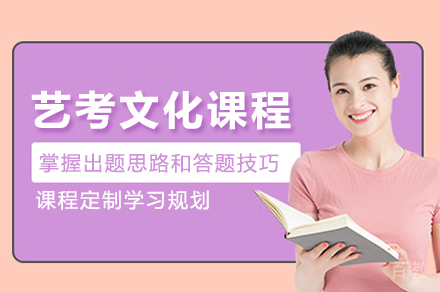 艺考文化课程