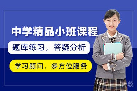 中学精品小班课程
