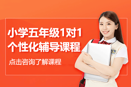 上海小学五年级1对1个性化辅导课程