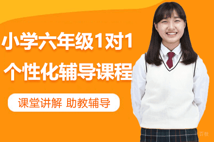 上海小学六年级1对1个性化辅导课程