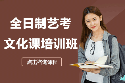 上海全日制艺考文化课培训班