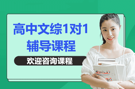 上海高中文综1对1辅导课程