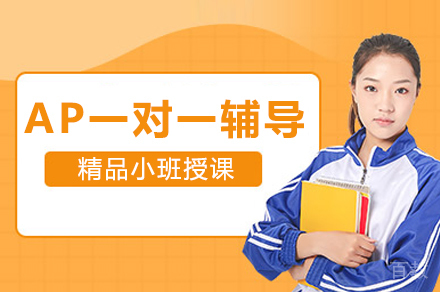 AP一对一辅导班