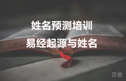 姓名预测培训