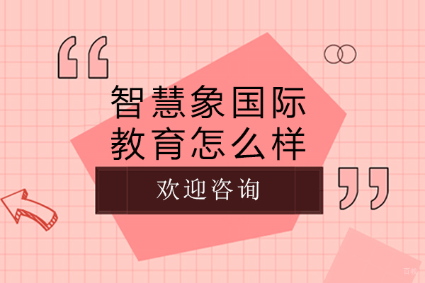 成都智慧象国际教育怎么样-好不好 