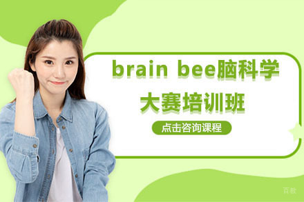成都BrainBee脑科学竞赛培训
