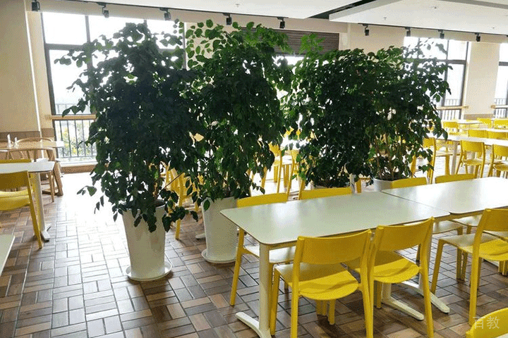 上海新纪元双语学校环境之食堂餐厅环境