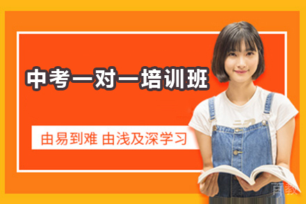 深圳中考一对一培训班