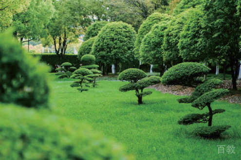 学校相册