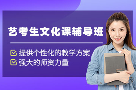 石家庄艺考生文化课辅导班