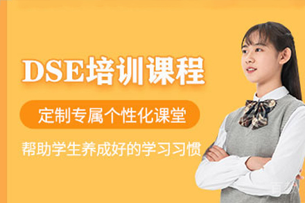 深圳dse培训班
