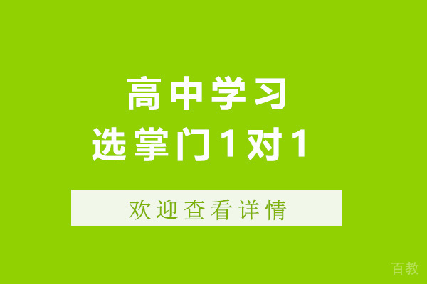 上海高中学习选掌门1对1-高中培训班哪里好 