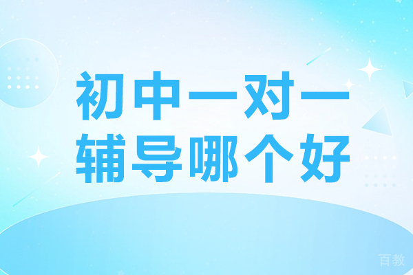 上海初中一对一辅导哪个好 