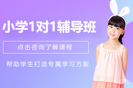 上海小学1对1辅导班