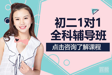 上海初二1对1全科辅导班