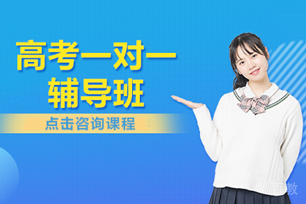 上海高考一对一辅导班