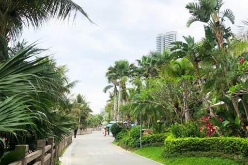 学校周围环境展示
