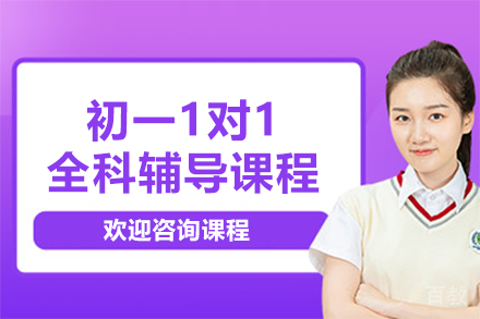 北京初一1对1全科辅导课程
