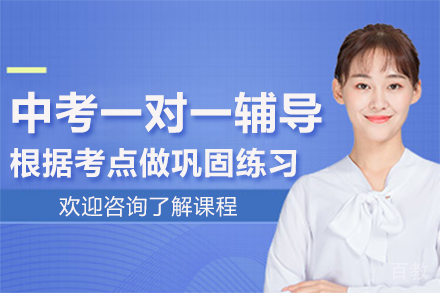 北京中考一对一辅导班