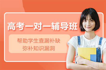 北京高考一对一辅导班