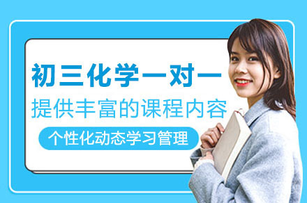 初三化学一对一辅导班