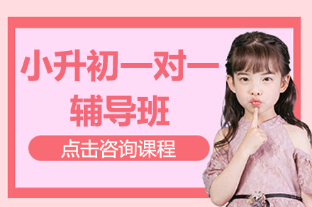上海小升初一对一辅导班