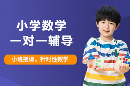 小学数学1对1辅导班