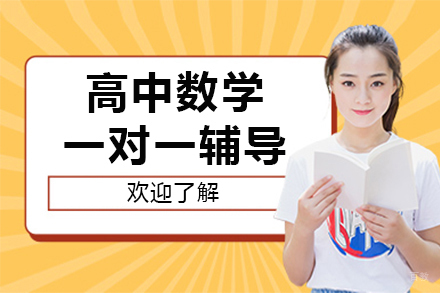 高中数学1对1辅导班