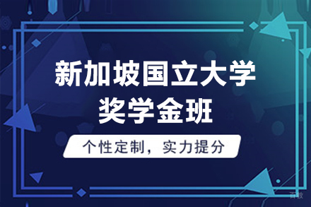 维多新加坡国立大学奖学金班招生简章