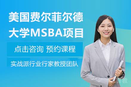 美国费尔菲尔德大学MSBA项目