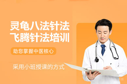 西安灵龟八法针法,飞腾针法培训