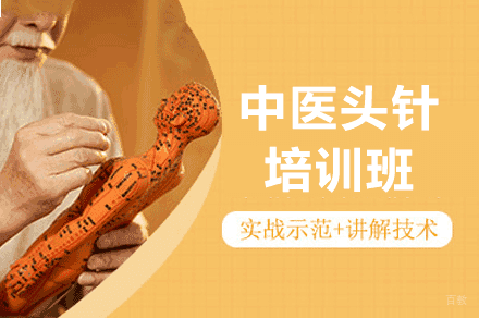 西安中医头针培训班