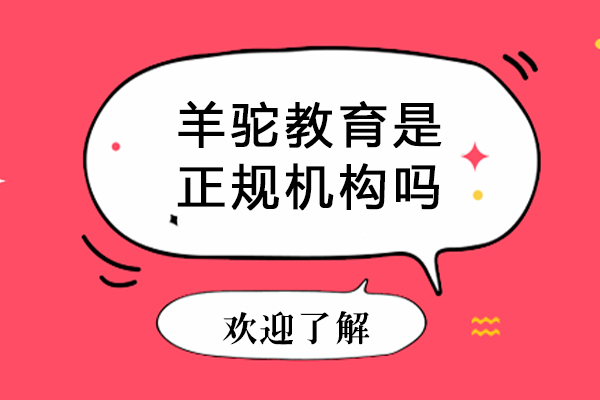 南宁羊驼教育是正规机构吗 