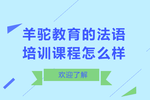 南宁羊驼教育的法语培训课程怎么样 