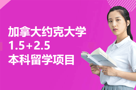 加拿大约克大学1.5+2.5本科留学项目