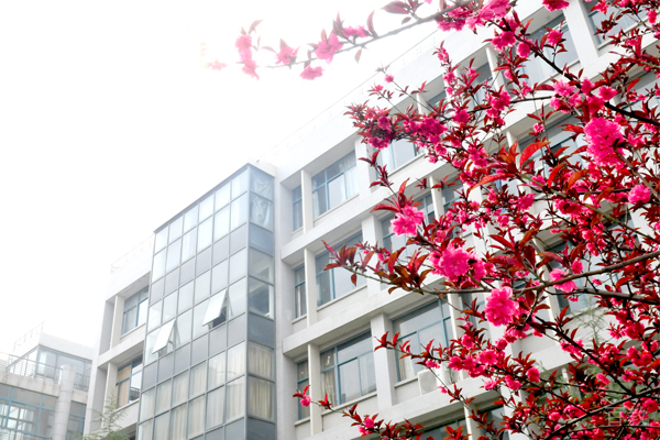 学校风光