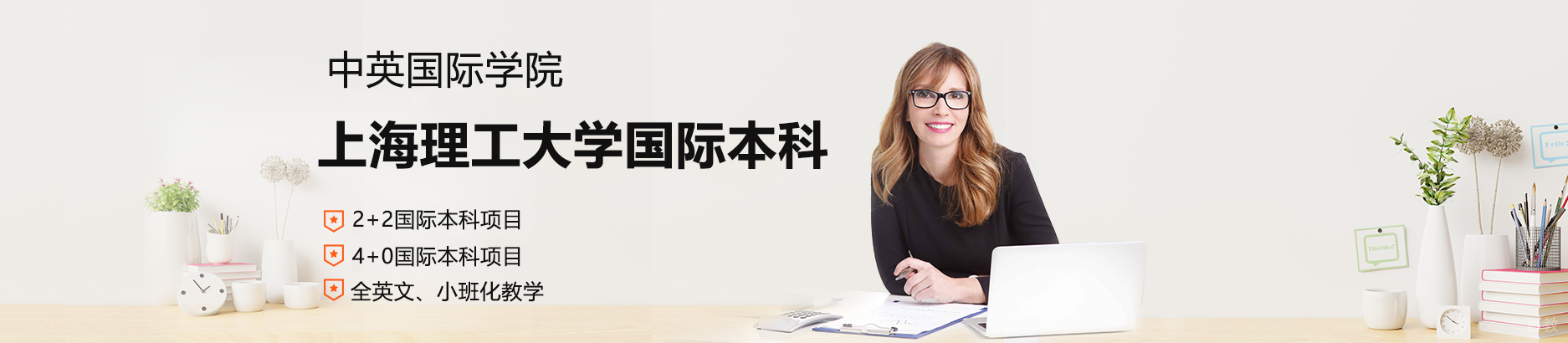 上海理工大学中英国际学院国际本科