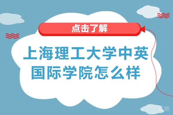 上海理工大学中英国际学院怎么样 